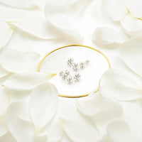 CloseUp Ansicht von Blumen Ohrstecker in 925 Silber von Sofia Milani - E0568