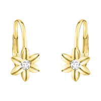 Haupt- und Seitenansicht von Blumen Ohrhänger in 925 Silber von Sofia Milani - E1621