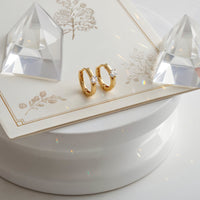 Zirkonia Creolen in 925 Silber von Sofia Milani - E1768