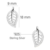 Maßenansicht von Blatt Ohrstecker in 925 Silber von Sofia Milani - E2184