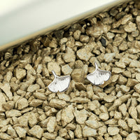 CloseUp Ansicht von Ginkgoblatt Ohrstecker in 925 Silber von Sofia Milani - E2376