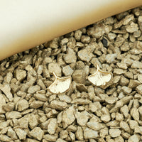 CloseUp Ansicht von Ginkgoblatt Ohrstecker in 925 Silber von Sofia Milani - E2377