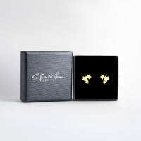 Boxansicht von Sternen Ohrstecker in 925 Silber von Sofia Milani - E2488