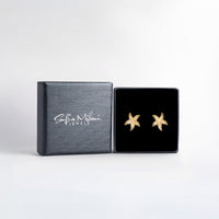 Boxansicht von Stern Ohrstecker in 925 Silber von Sofia Milani - E2559