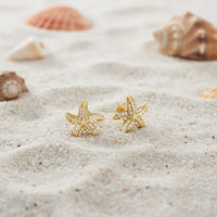 CloseUp Ansicht von Stern Ohrstecker in 925 Silber von Sofia Milani - E2559