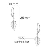 Maßenansicht von Blatt Ohrhänger in 925 Silber von Sofia Milani - E0729