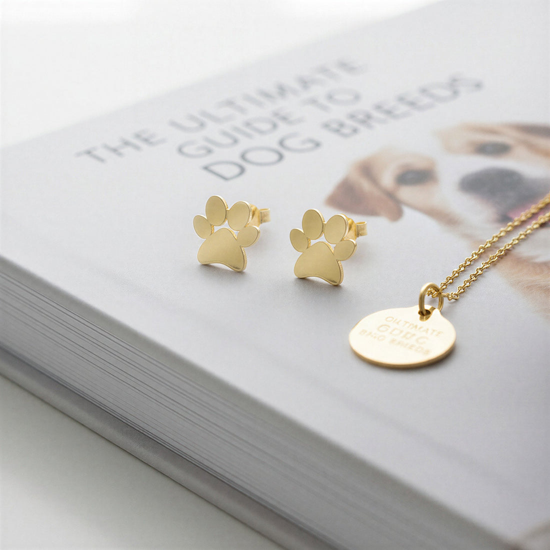 Pfote Ohrstecker in 925 Silber