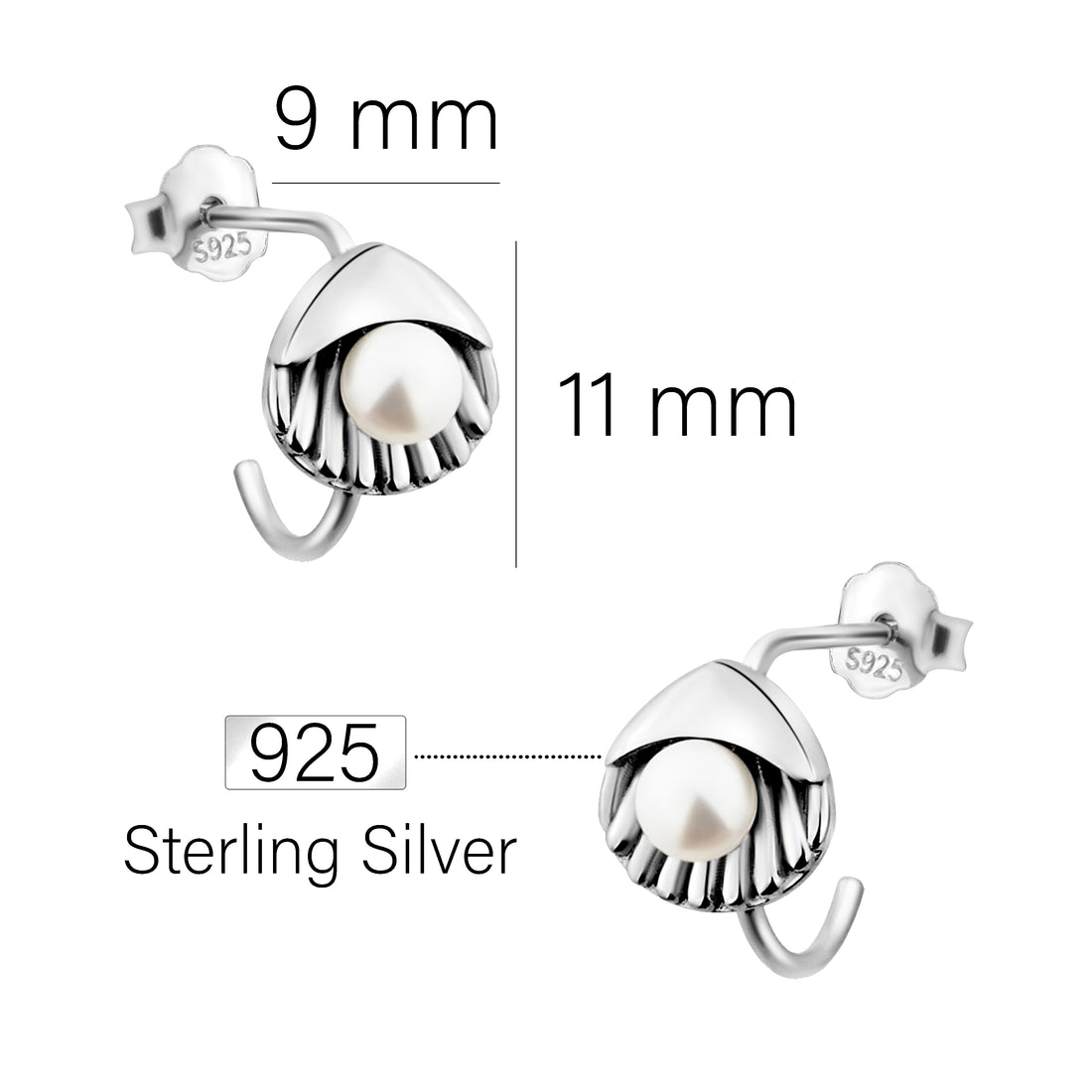 Muschel Ohrstecker in 925 Silber