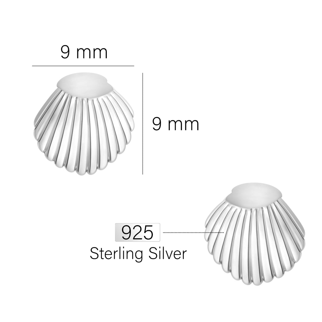 Muschel Ohrstecker in 925 Silber