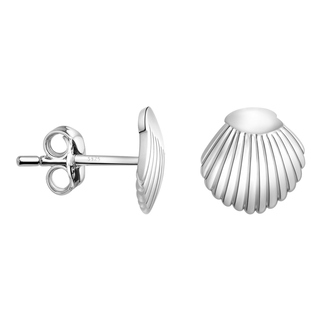 Muschel Ohrstecker in 925 Silber