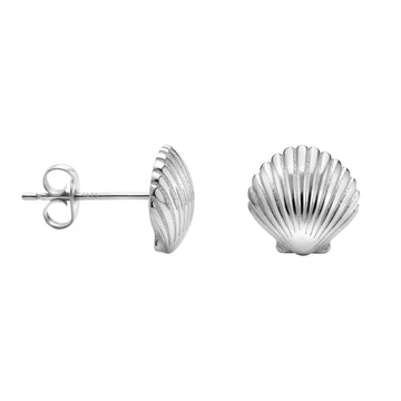 Muschel Ohrstecker in 925 Silber