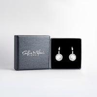 Boxansicht von Zirkonia Ohrhänger in 925 Silber von Sofia Milani - E2220