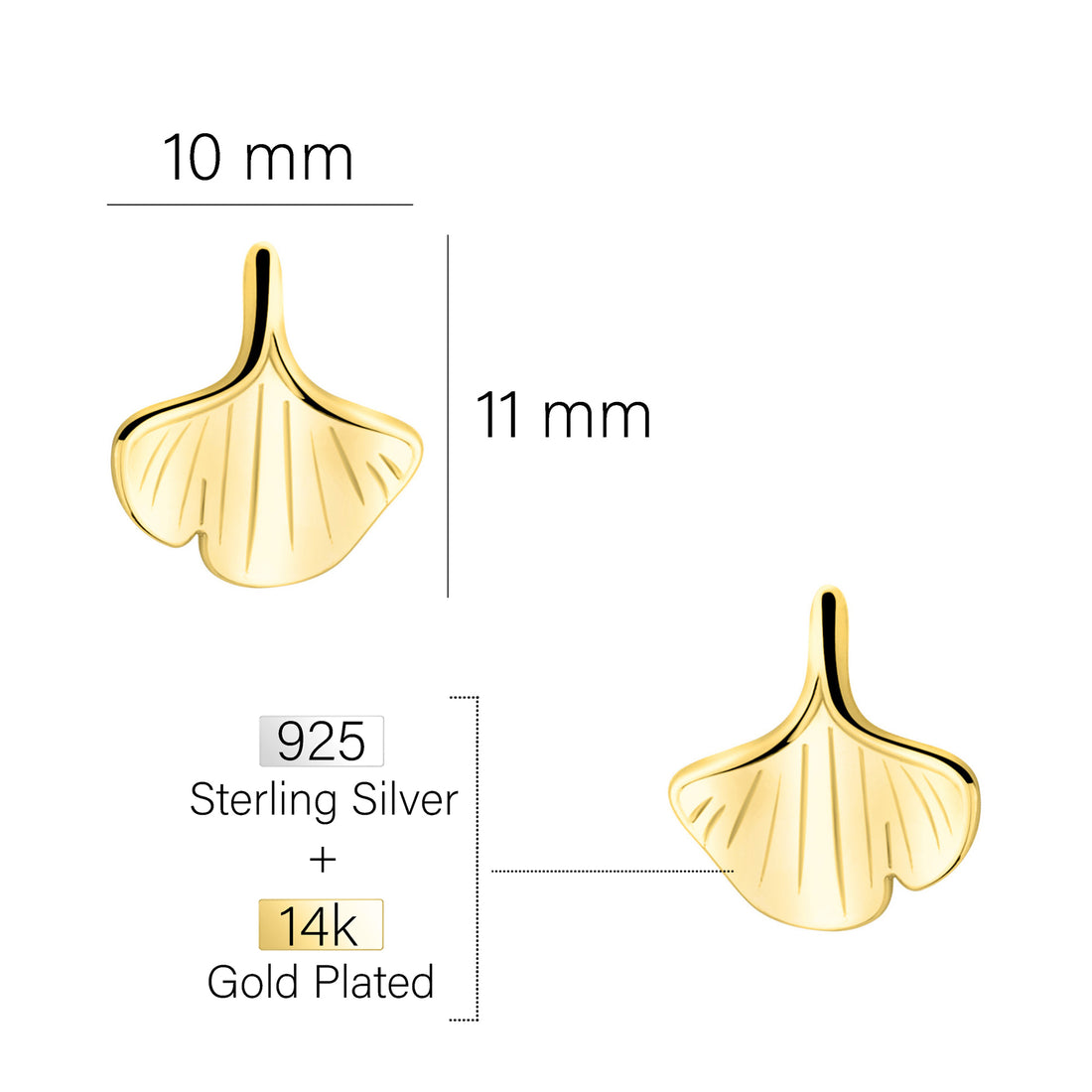 Maßenansicht von Ginkgoblatt Ohrstecker in 925 Silber von Sofia Milani - E2377