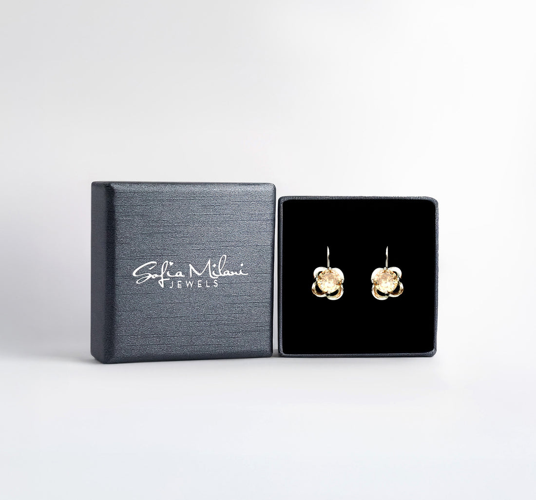 Boxansicht von Zirkonia Ohrstecker in 925 Silber von Sofia Milani - E2517