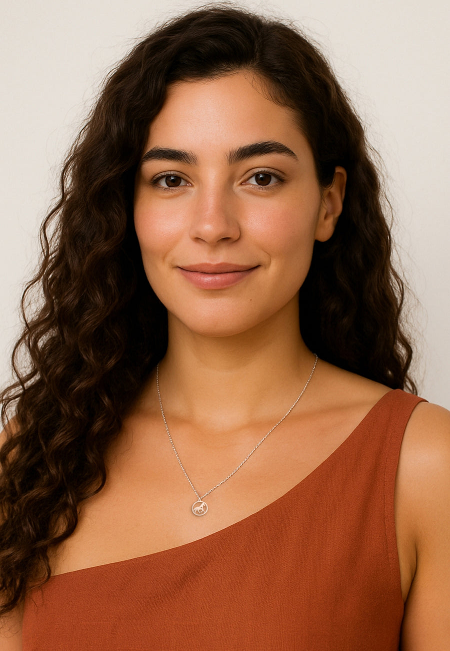 Modelansicht von Kreis Pferd Halskette in 925 Silber von Sofia Milani - N0702